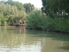 來常熟沙家浜風景區游玩,住錦江之星常熟招商城店2人1晚今年國慶中秋連一塊,高速堵車, 驢媽媽點評